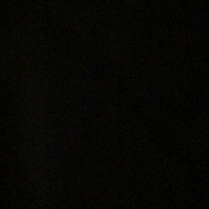 Meet your Posher, Quinn